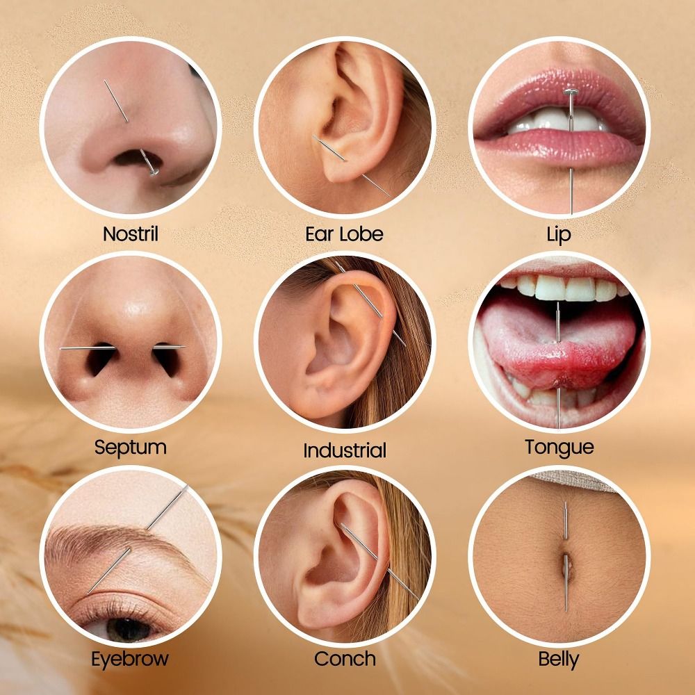 Edelstahl-Piercing-Taper-Werkz – Body Jewelry Tool Bewertung und Preis