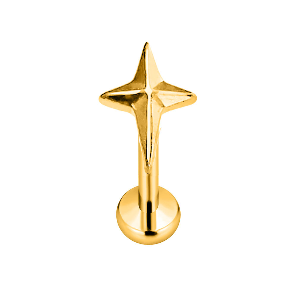 Astm f136 g23 titan stern kreu – Body Jewelry Threadless Bewertung und Preis