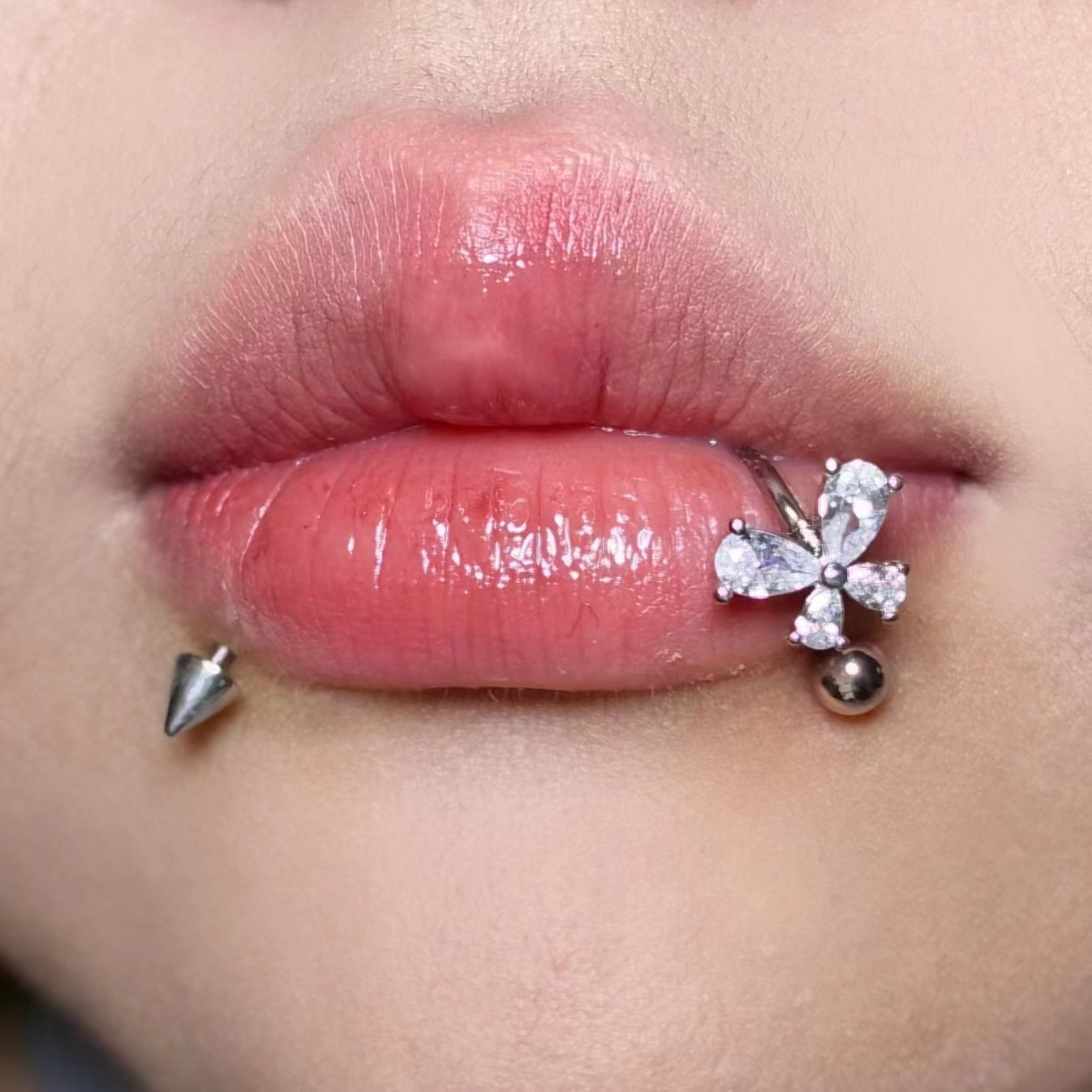 ASTM F136 Titan Schmetterlings – Body Jewelry Lip Ring Bewertung und Preis